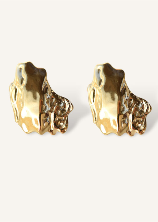 Roxy earrings