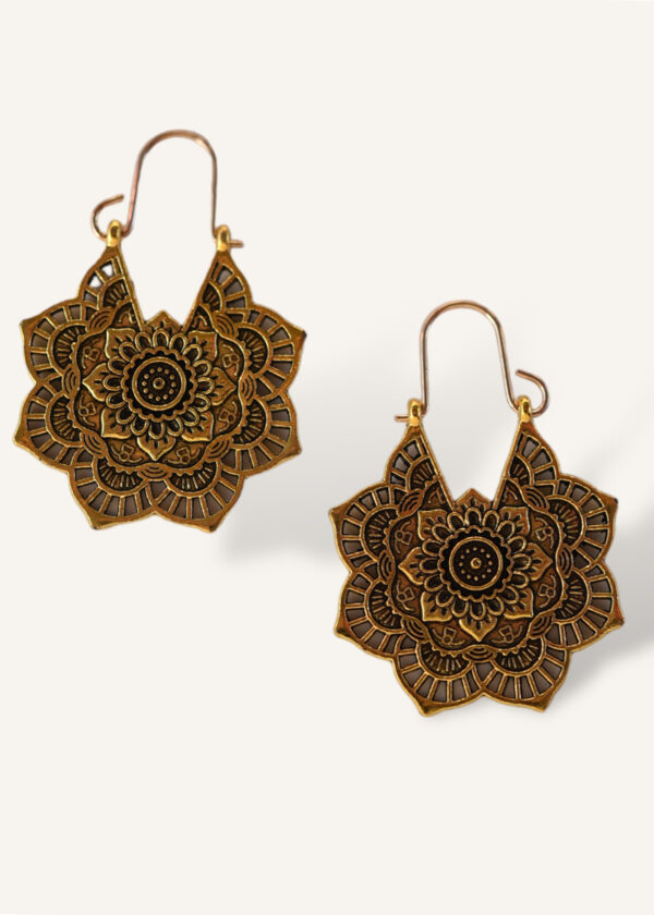 Rodon earrings